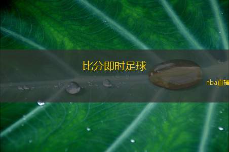 比分即时足球(即时足球比分更新与分析)