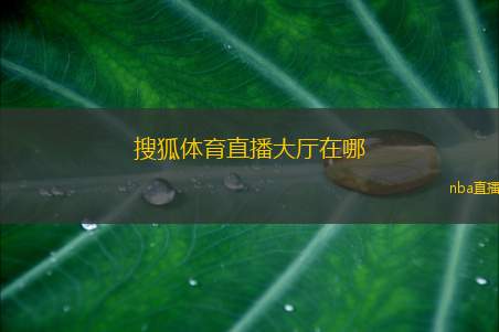 搜狐体育直播大厅在哪(搜狐体育直播入口在哪里)