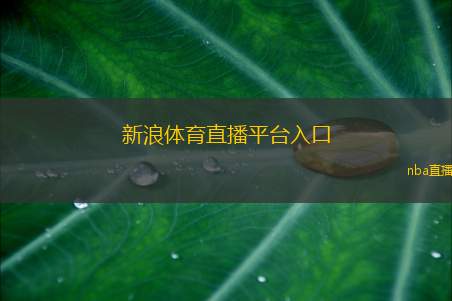 新浪体育直播平台入口(新浪体育直播平台访问指南)