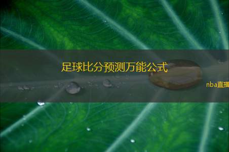 足球比分预测万能公式(足球比分预测的有效方法揭秘)