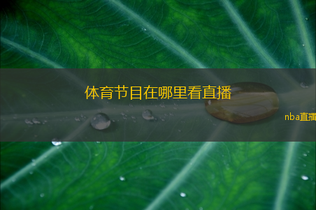 体育节目在哪里看直播(体育赛事直播观看指南)