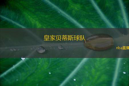 皇家贝蒂斯球队(贝蒂斯豪门的新征程)