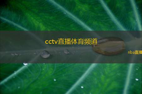 cctv直播体育频道(央视体育频道在线直播观看指南)