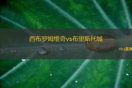 西布罗姆维奇vs布里斯托城(西布罗姆迎战布里斯托城：英冠激烈对决)