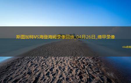 德甲第31轮斯图加特0-1海登海姆
