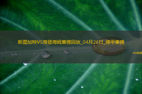 德甲-洪萨克89分钟绝杀海登海姆1-0斯图加特